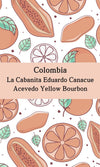Colombia La Cabanita Eduardo Canacue Acevedo Yellow Bourbon (Anaerobic Natural) - Return Coffee Roastery