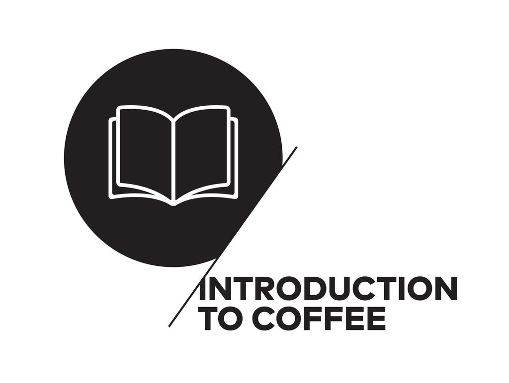 SCA Introduction to Coffee Certificate
