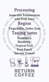 Ethiopia Yirgacheffe G1 (Anaerobic Fermentation with Fruit Juice)