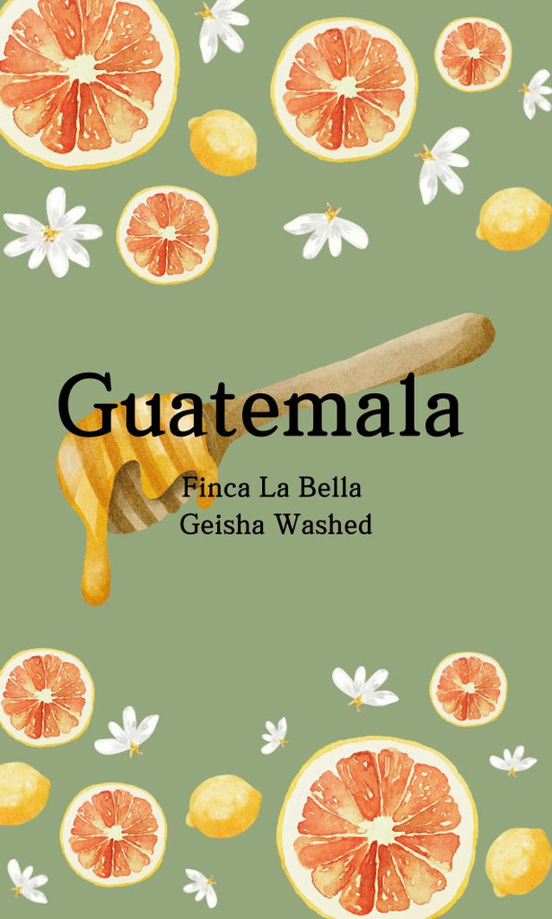 Guatemala Finca La Bella Geisha (Washed)