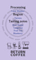 Costa Rica Canet Musician Series Beethoven (Yeast-Washed) - (AICA 2018 Bronze Medal Award) - Return Coffee Roastery