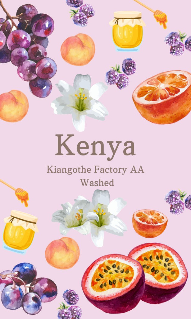 Kenya Kiangothe Factory AA (Washed)