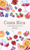 Costa Rica Canet Musician Series - Mozart (Anaerobic Natural) - Return Coffee Roastery