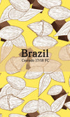 Brazil Cerrado 17/18 NY2 FC (Natural) - Return Coffee Roastery
