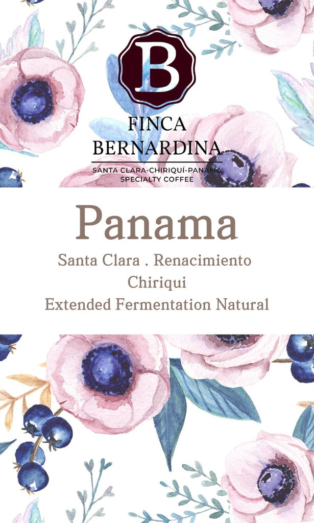 Panama Santa Clara Chiriqui Finca Bernardina (Extened Fermentation Natural)