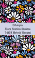 Ethiopia Elora Station Sidama 74158 Hybrid (Natural) - Return Coffee Roastery