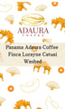 Panama Adaura Coffee Finca Lorayne Catuai (Washed) - Return Coffee Roastery