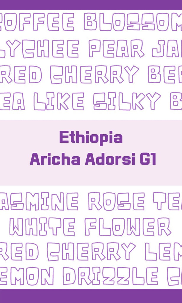 Ethiopia Aricha Adorsi G1 (Washed)